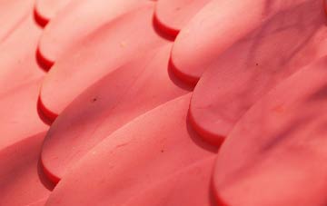 Burton Ferry plastic roof costs